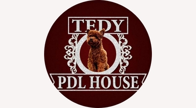 Tedy Poodle House